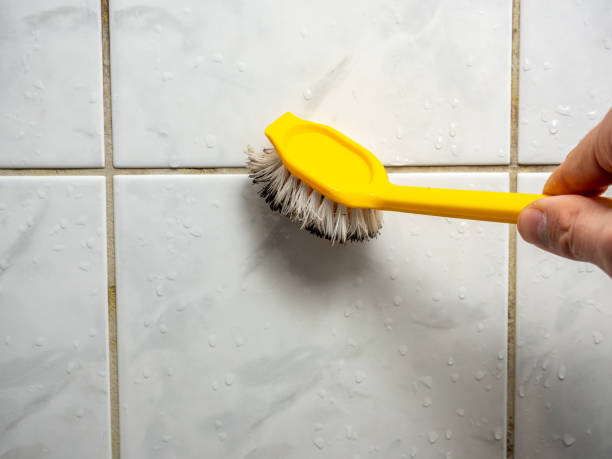 Best DIY Mold Remediation Support Services in Trail Creek, IN