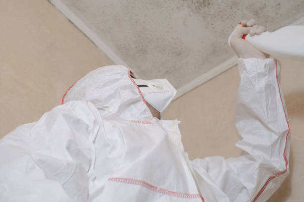 Best Mold Testing and Inspection Services in Trail Creek, IN