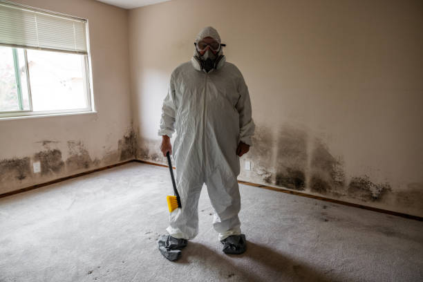 Best Bathroom Mold Remediation in Trail Creek, IN